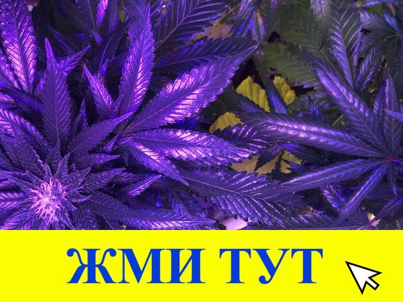 Купить наркотики в Новомосковске